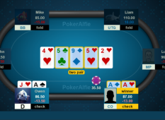 Poker AI